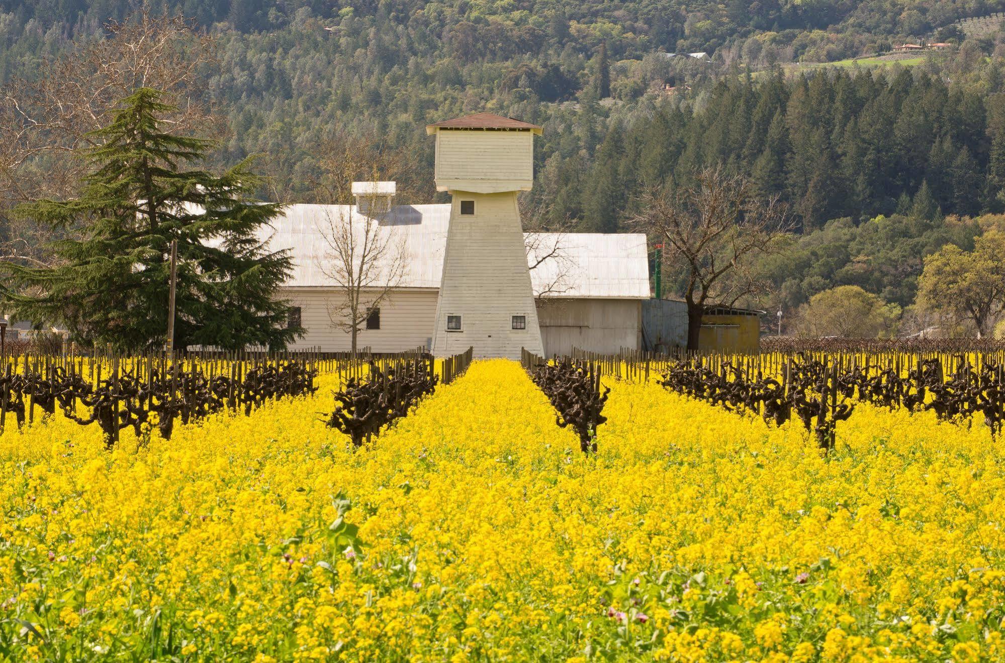 Shady Oaks Country Inn St. Helena Exterior photo
